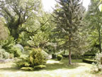 3me vue