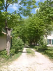 Alle Vue 2