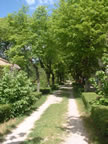 Alle Vue 3